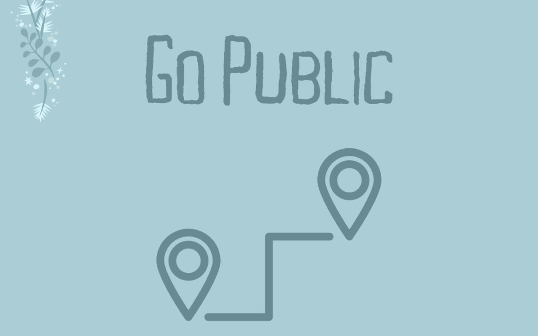 Day 13 | Go Public