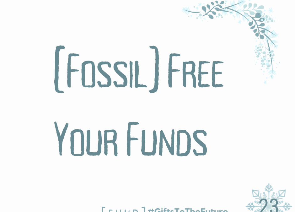 Day 23 | [Fossil] Free Your Funds