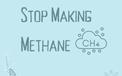Day 24 | Stop Making Methane