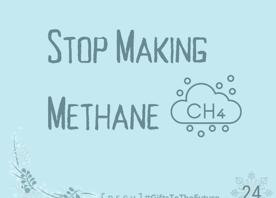 Day 24 | Stop Making Methane