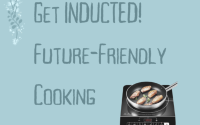 Day 10 | Get INDUCTED! Future-Friendly Cooking
