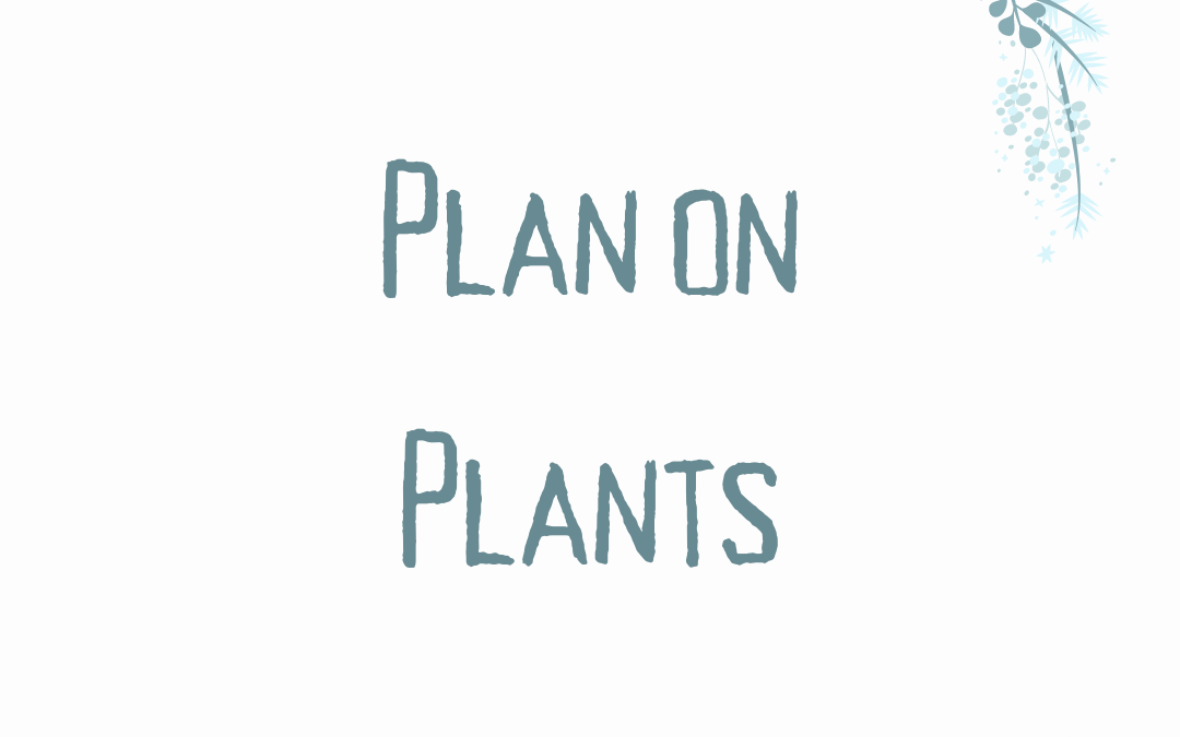 Day 5 | Plan on Plants