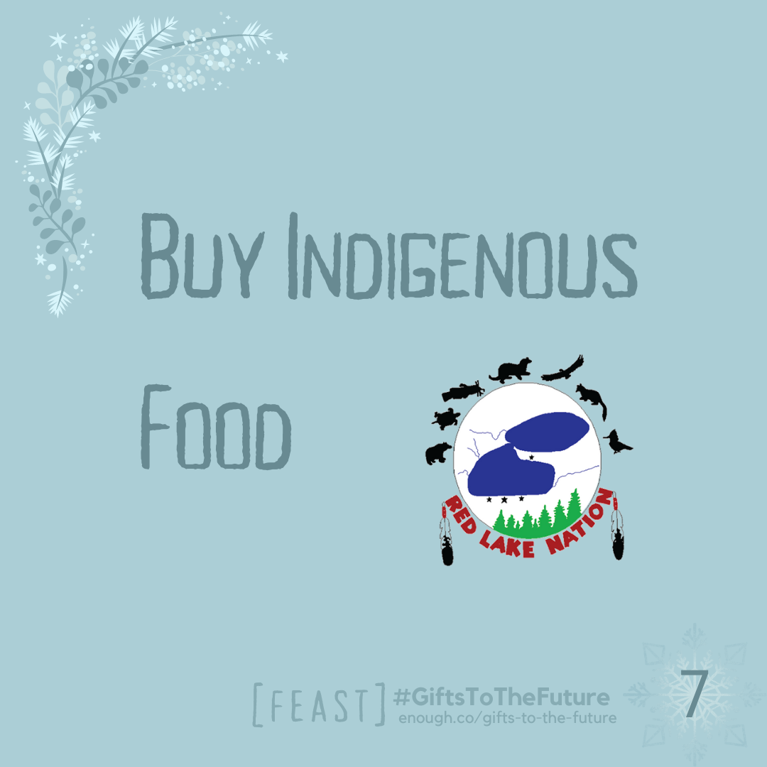 wintry soft blue image that reads "Buy indigenous Food" also "[FEAST] #GiftsToTheFuture, and enough.co/gifts-to-the-future 7"